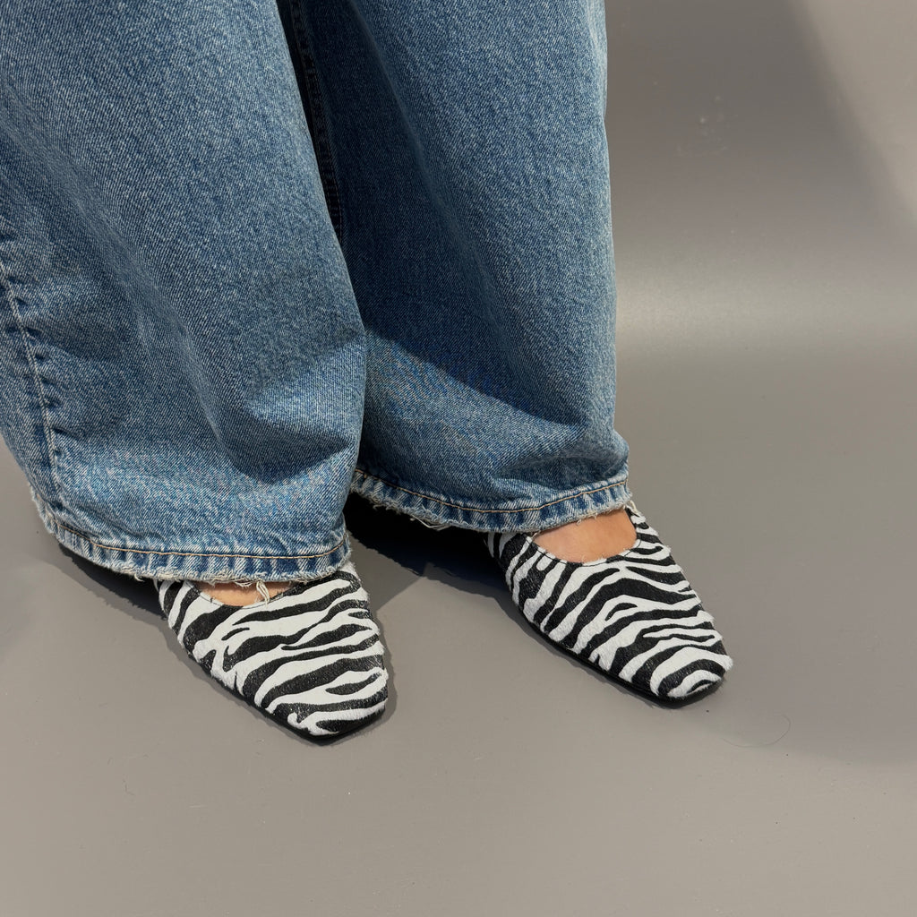 Zebra
