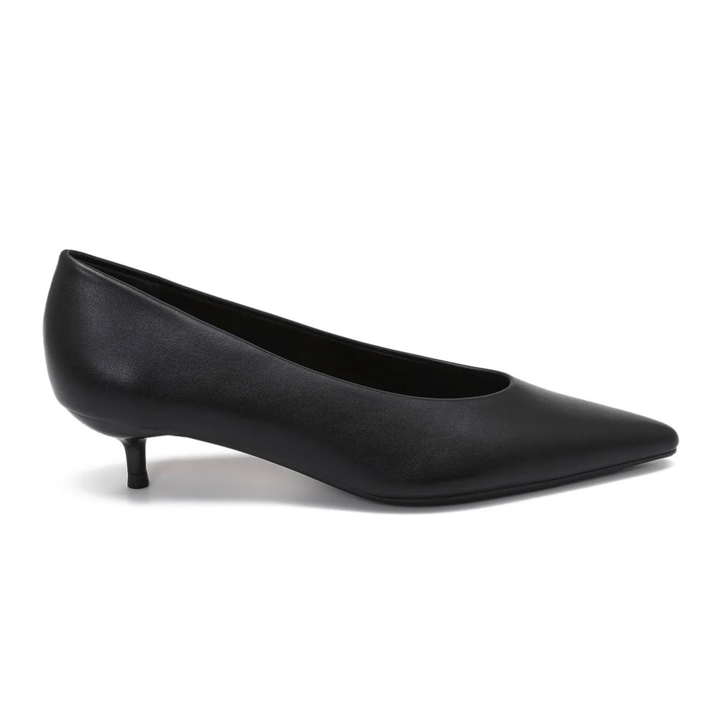 Dalia noir